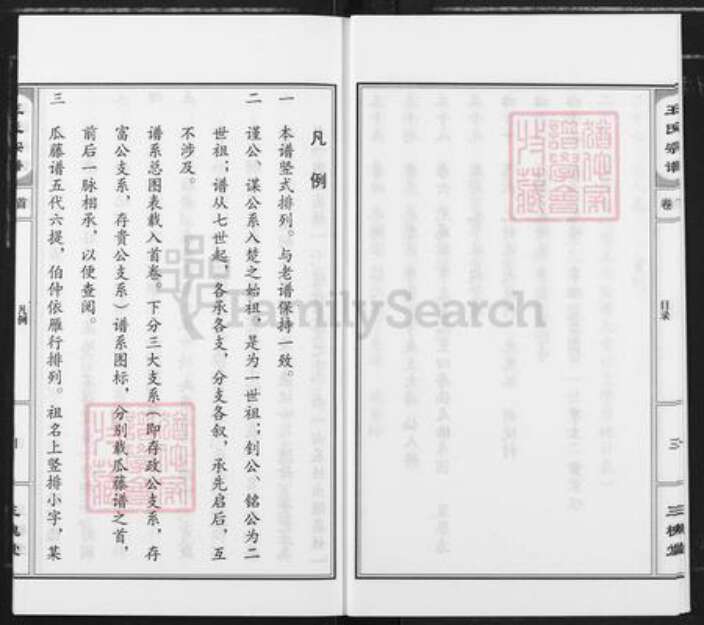 湖北省孝感市汉川市王氏三槐堂族谱-王氏宗谱.pdf电子版预览图4