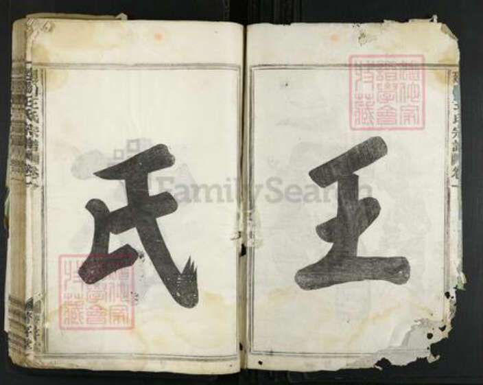 浙江省金华市婺城区王氏着存堂族谱-回阳王氏宗谱.pdf电子版预览图2