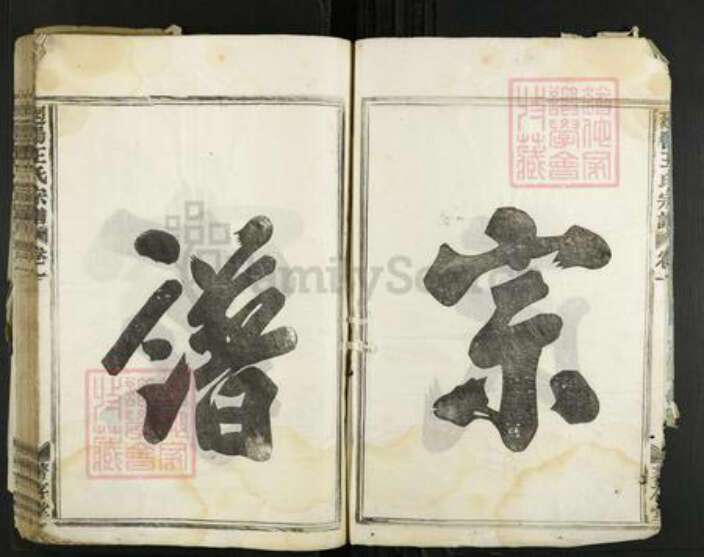 浙江省金华市婺城区王氏着存堂族谱-回阳王氏宗谱.pdf电子版预览图3