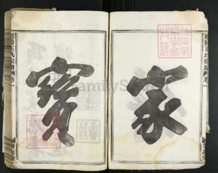 浙江省金华市婺城区王氏着存堂族谱-回阳王氏宗谱.pdf电子版预览图4