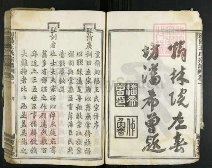 浙江省金华市婺城区王氏着存堂族谱-回阳王氏宗谱.pdf电子版预览图5