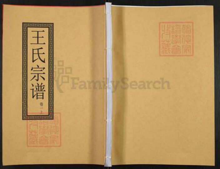 安徽省合肥市肥东县石塘镇王氏三槐堂族谱-王氏宗谱.pdf电子版缩略图