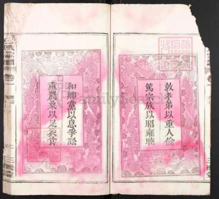 安徽省蚌端口市怀远县淝南乡王氏三槐堂族谱-王氏宗谱.pdf电子版预览图4