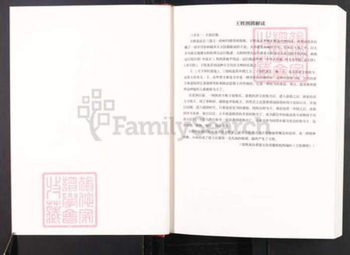 安徽省阜阳市颍上县王氏三槐堂族谱-三槐堂颍淮王氏族谱.pdf电子版预览图2