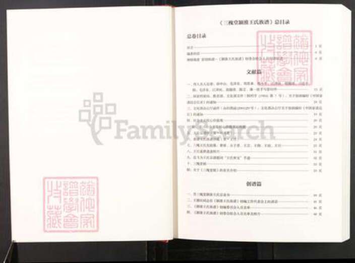 安徽省阜阳市颍上县王氏三槐堂族谱-三槐堂颍淮王氏族谱.pdf电子版预览图3