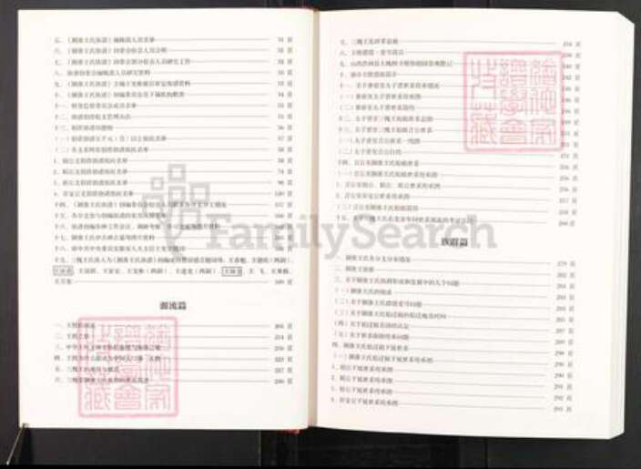 安徽省阜阳市颍上县王氏三槐堂族谱-三槐堂颍淮王氏族谱.pdf电子版预览图4