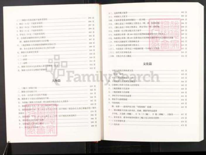 安徽省阜阳市颍上县王氏三槐堂族谱-三槐堂颍淮王氏族谱.pdf电子版预览图5