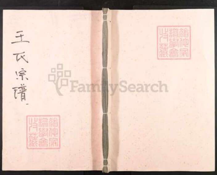 湖北省武汉市武昌区王氏太原堂族谱-王氏宗谱.pdf电子版缩略图