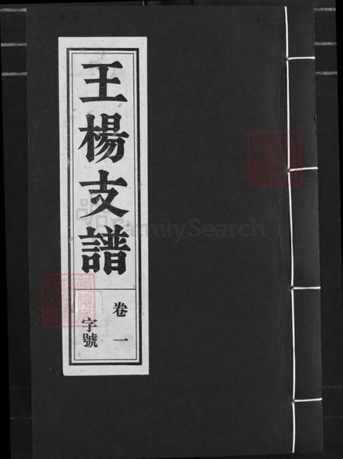 安徽省安庆市桐城市王氏余庆堂族谱-王杨支谱.pdf电子版缩略图