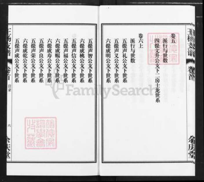 安徽省安庆市桐城市王氏余庆堂族谱-王杨支谱.pdf电子版预览图5