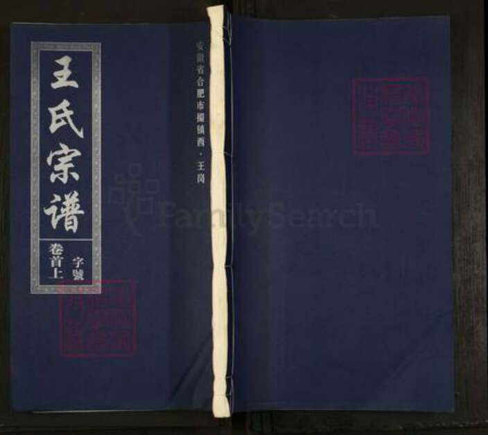 安徽省合肥市肥东县撮镇王氏三槐堂族谱-王氏宗谱.pdf电子版缩略图