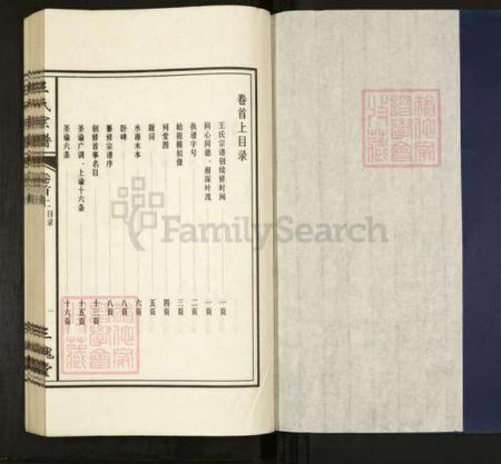 安徽省合肥市肥东县撮镇王氏三槐堂族谱-王氏宗谱.pdf电子版预览图1