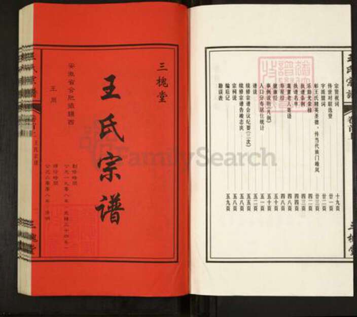 安徽省合肥市肥东县撮镇王氏三槐堂族谱-王氏宗谱.pdf电子版预览图3