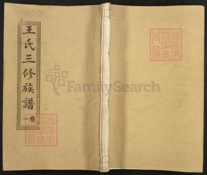 湖南省邵阳市邵东市王氏三槐堂族谱-邵东王氏三修族谱.pdf电子版缩略图