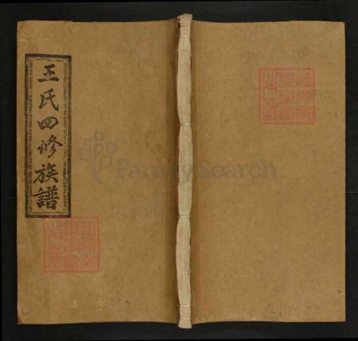 湖南省邵阳市邵东王氏三槐堂族谱-邵陵王氏四修族谱.pdf电子版缩略图