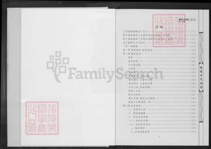 福建省泉州市南安市王氏普济堂族谱-格后王氏族谱.顶二房.pdf电子版预览图2