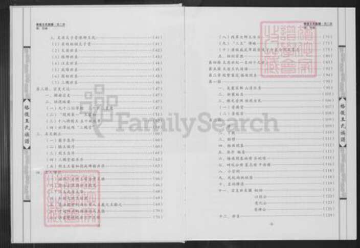 福建省泉州市南安市王氏普济堂族谱-格后王氏族谱.顶二房.pdf电子版预览图3