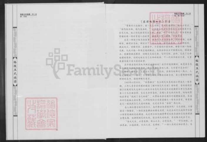 福建省泉州市南安市王氏普济堂族谱-格后王氏族谱.顶二房.pdf电子版预览图5