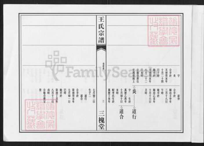 四川省德阳市中江县王氏三槐堂族谱-高店王氏宗谱.pdf电子版预览图3