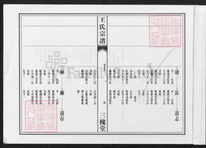 四川省德阳市中江县王氏三槐堂族谱-高店王氏宗谱.pdf电子版预览图4