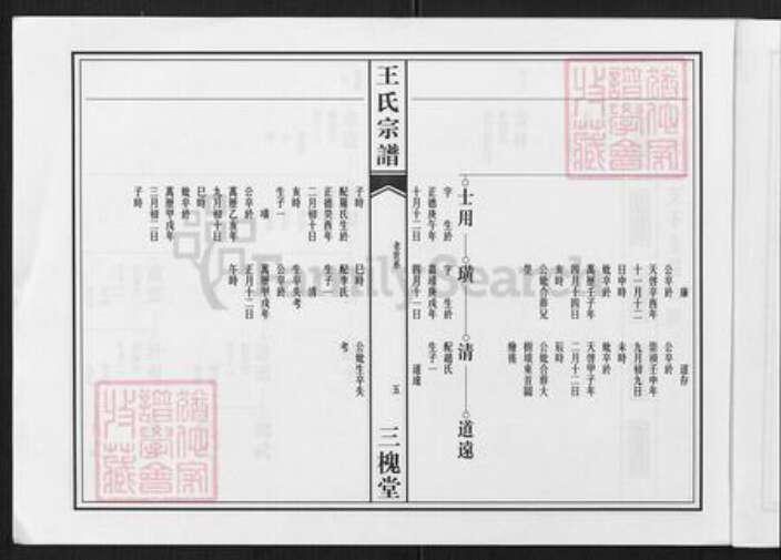 四川省德阳市中江县王氏三槐堂族谱-高店王氏宗谱.pdf电子版预览图5