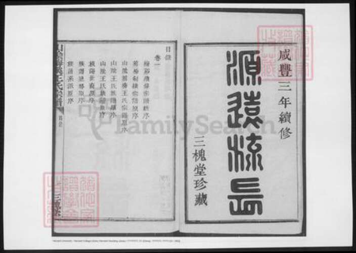 山西省朔州市王氏族谱-山阴梅溪王氏宗谱.pdf电子版预览图1