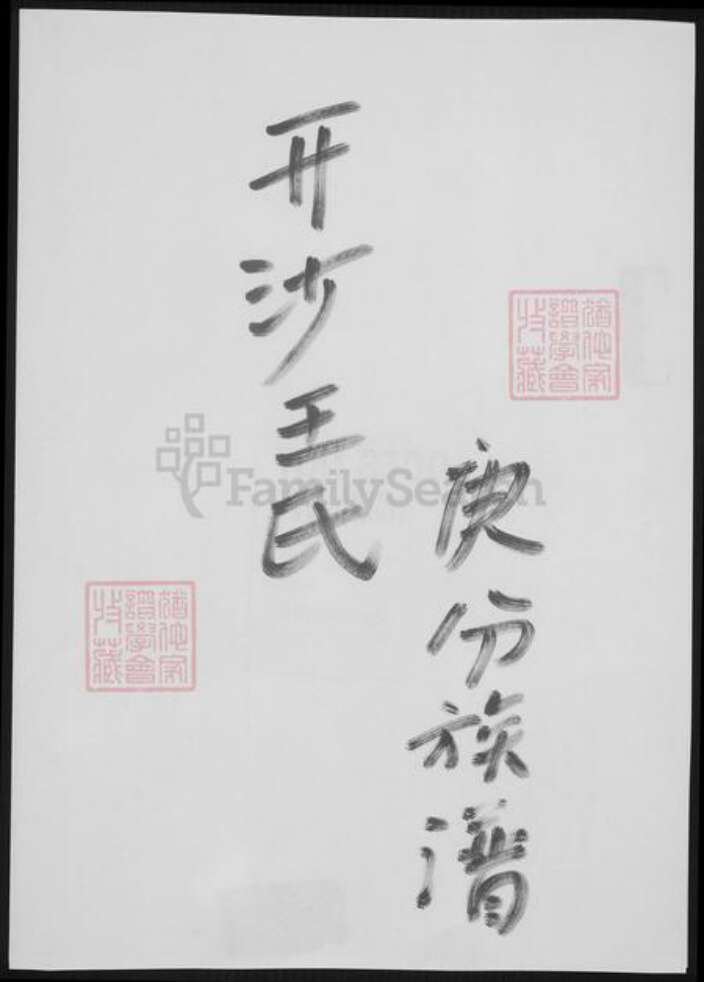 江苏省镇江市王氏族谱-开沙王氏庚分族谱.pdf电子版缩略图