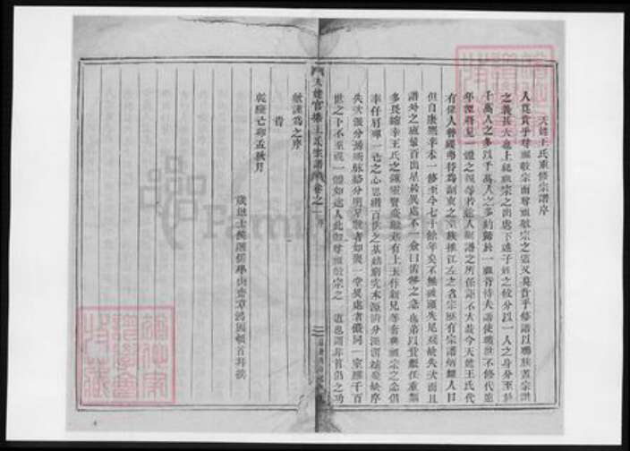 浙江省王氏族谱-天姥官塘王氏宗谱.pdf电子版预览图3