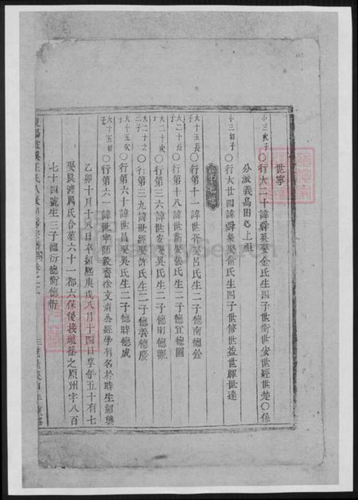 浙江省金华市王氏族谱-东阳画溪王氏人派同房宗谱.pdf电子版缩略图