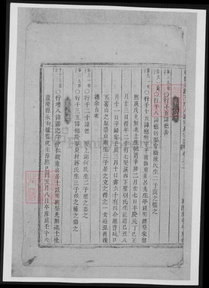 浙江省金华市王氏族谱-东阳画溪王氏人派同房宗谱.pdf电子版预览图4