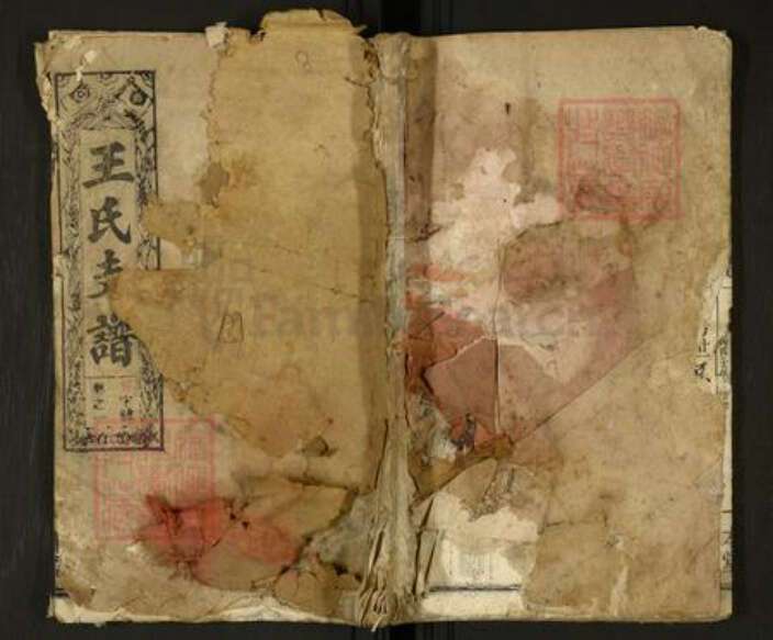 安徽省六安市舒城县王氏族谱-王氏支谱[12卷首1卷].pdf电子版缩略图