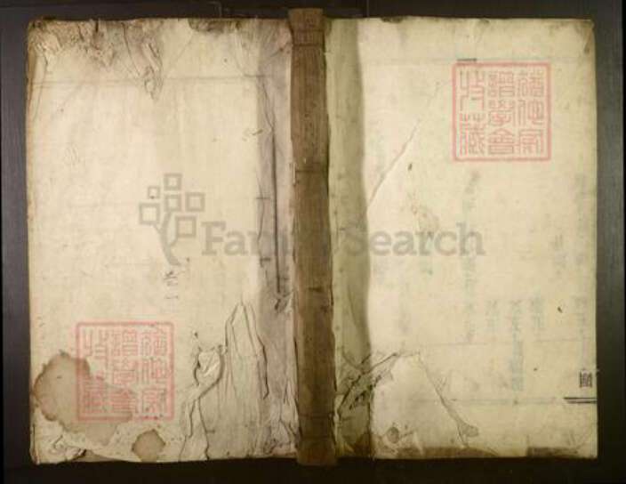 湖南省郴州市王氏族谱-双溪王氏族谱[不分卷].pdf电子版缩略图