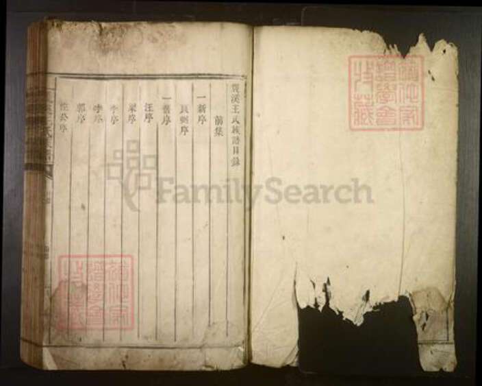 湖南省郴州市王氏族谱-双溪王氏族谱[不分卷].pdf电子版预览图1