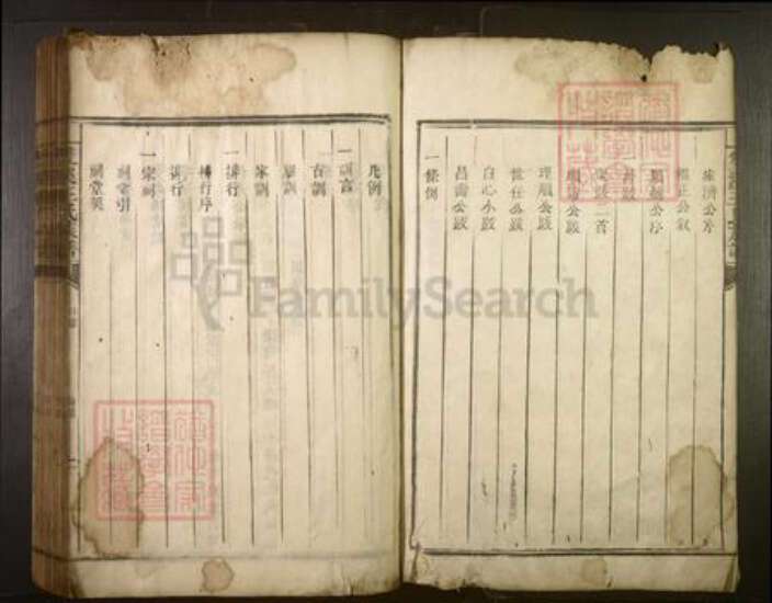 湖南省郴州市王氏族谱-双溪王氏族谱[不分卷].pdf电子版预览图2