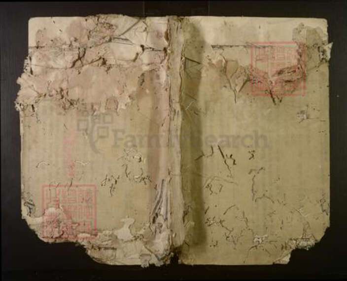 福建省三明市建宁县王氏族谱-绥安王氏族谱.pdf电子版缩略图