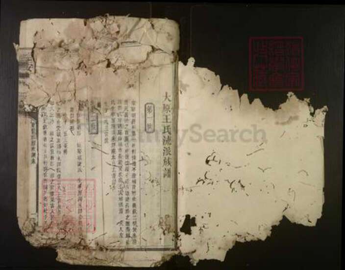 福建省三明市建宁县王氏族谱-绥安王氏族谱.pdf电子版预览图1