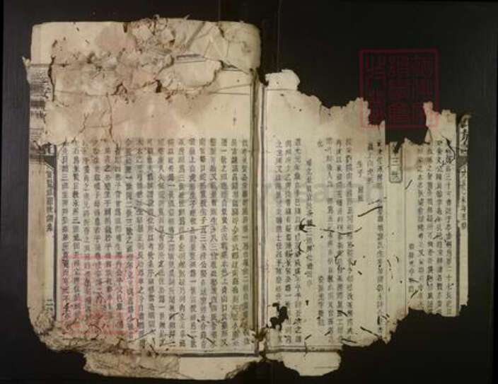 福建省三明市建宁县王氏族谱-绥安王氏族谱.pdf电子版预览图2