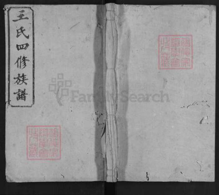 湖南省株洲市醴陵市醴陵王氏族谱-王氏四修族谱.pdf电子版缩略图