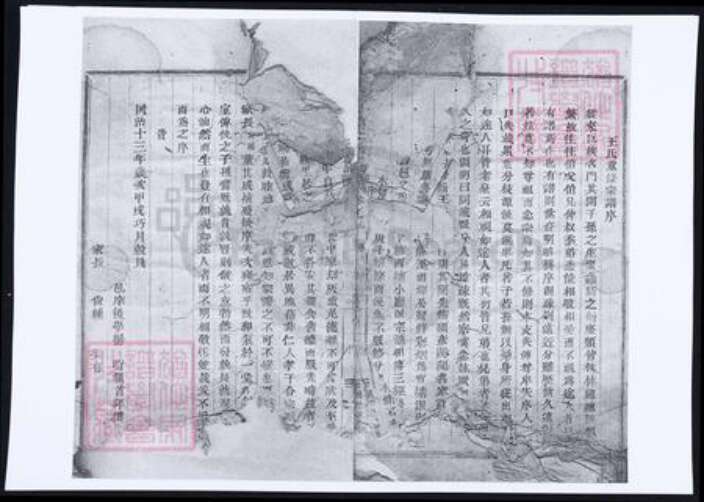 浙江省绍兴新昌县王氏族谱-天姥官塘王氏宗谱四.pdf电子版缩略图