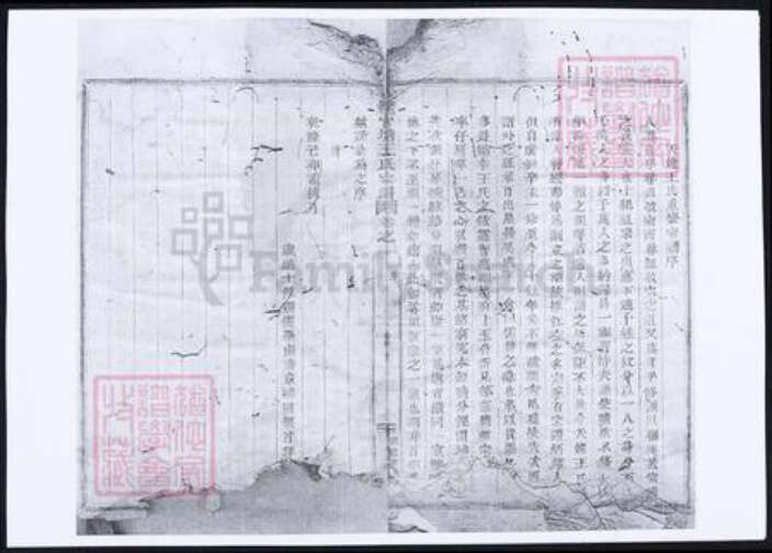 浙江省绍兴新昌县王氏族谱-天姥官塘王氏宗谱四.pdf电子版预览图5