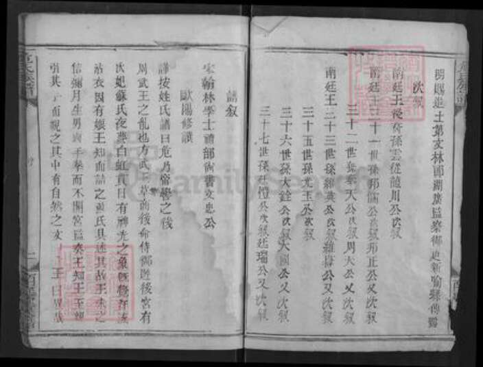 湖北省潜江市危氏南庭堂族谱-危氏宗谱.pdf电子版预览图2