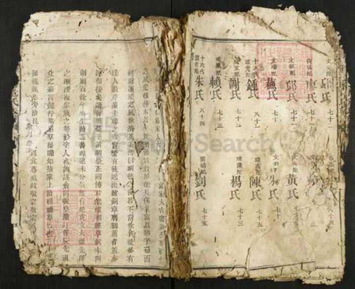 江西省赣州市瑞金市危氏族谱-瑞金县北门危氏族谱.pdf电子版缩略图