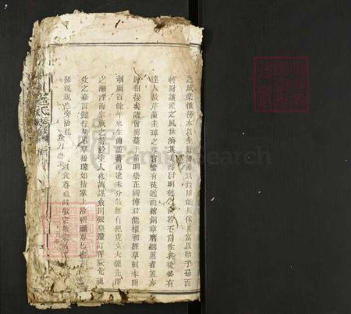 江西省赣州市瑞金市危氏族谱-瑞金县北门危氏族谱.pdf电子版预览图1
