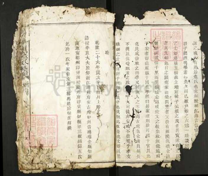 江西省赣州市瑞金市危氏族谱-瑞金县北门危氏族谱.pdf电子版预览图2