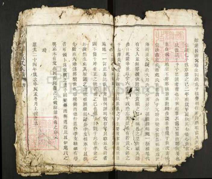 江西省赣州市瑞金市危氏族谱-瑞金县北门危氏族谱.pdf电子版预览图3