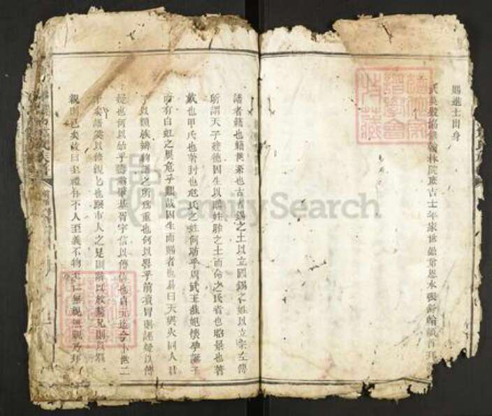 江西省赣州市瑞金市危氏族谱-瑞金县北门危氏族谱.pdf电子版预览图4