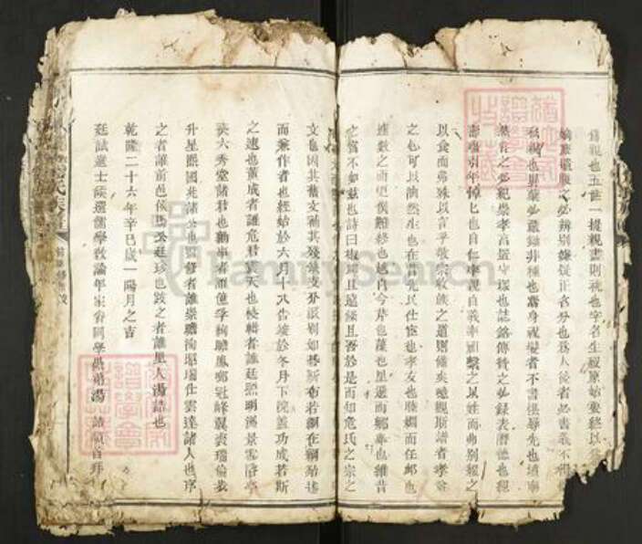 江西省赣州市瑞金市危氏族谱-瑞金县北门危氏族谱.pdf电子版预览图5