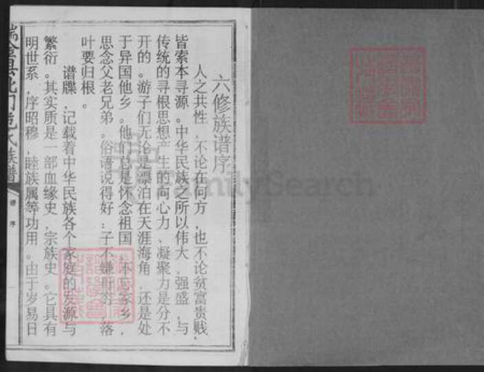 江西省赣州市瑞金市危氏族谱-瑞金县北门危氏族谱.pdf电子版预览图1