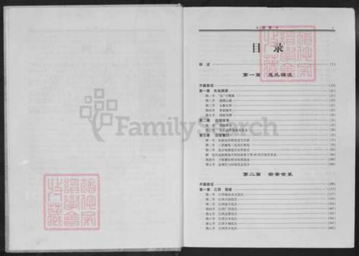 危氏族谱-危氏通考.pdf电子版预览图4