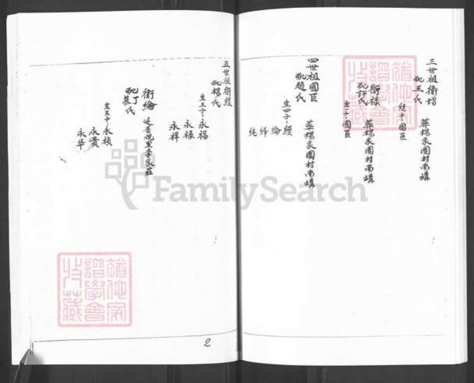 山东省烟台市栖霞市官道镇卫氏族谱-卫氏谱书.pdf电子版预览图3